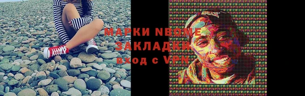 стаф Покачи