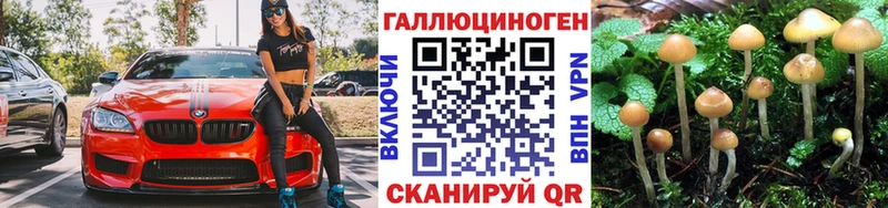 Псилоцибиновые грибы Cubensis  Сертолово 